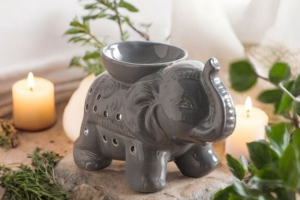 brule parfum éléphant gris